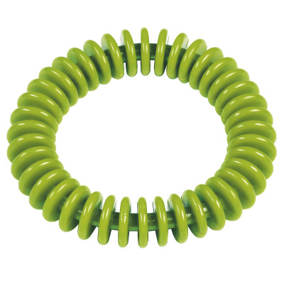 Dive Ring Lamelle Green Flexible Underwater Ring for Kids